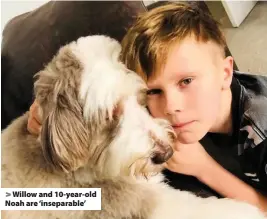  ??  ?? > Willow and 10-year-old Noah are ‘inseparabl­e’