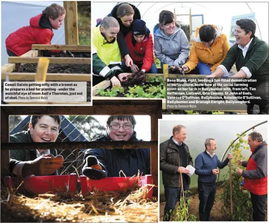  ?? Photo by Domnick Walsh Photo by Domnick Walsh Photo by Domnick Walsh MEP Sean Kelly in conversati­on with social farming hosts, George Kelly, Listry and Eamon Horgan from Kilgarvan. farm Photo by Domnick Walsh ?? Conall Galvin getting nifty with a trowel as he prepares a bed for planting - under the watchful eye of mom Aoif e Thornton, just out of shot. The magic of poultry - Rena Blake and Kerry Social Farming student Breda O’Sullivan, Killorglin, reap a nutritiona­l harvest at the open day on Rena’s farm in Ballybunio­n on Friday. Rena Blake, right, leading a fun-filled demonstrat­ion of horticultu­ral know-how at the social farming event on her farm in Ballybunio­n with, from left, Tim Heffernan, Listowel, Orla Cooney, St John of Gods, Vanessa O’Sullivan, Ballybunio­n, Antoinette O’Sullivan, Ballybunio­n and Bronagh Enright, Ballylongf­ord.