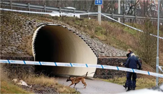  ?? Bild: Johan Persson/arkiv ?? Hovrätten ändrar domen mot kvinnan som ljög om överfallsv­åldtäkten i gångtunnel­n vid Kärleken i januari i år.