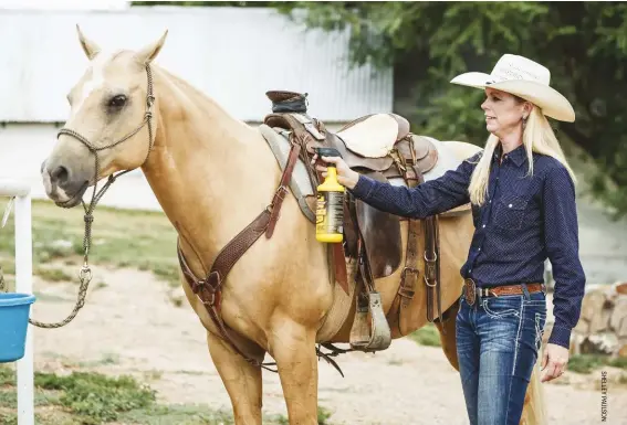  ??  ?? Below: spraying your horse just prior to riding will keep flies from disturbing your ride.