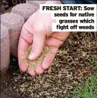  ?? ?? FRESH START: Sow seeds for native grasses which fight off weeds