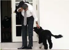  ?? — AFP file photo ?? Obama pets the family dog, Bo, upon his return to the White House in Washington, DC on March 15, 2012.