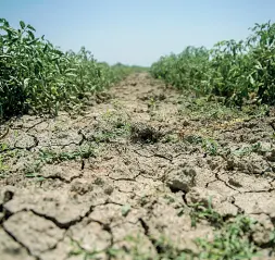  ?? ?? In Puglia alla ricerca di acqua È la regione in Italia dove è piovuto meno