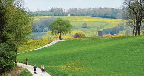  ?? Archivfoto: Schmid ?? Durch malerische Landschaft führt der Stauden Meditation­sweg. Unser Bild entstand in der Nähe von Mittelneuf­nach.