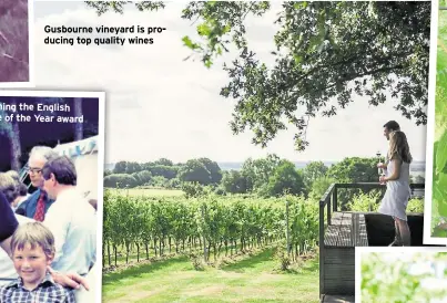  ?? ?? Gusbourne vineyard is producing top quality wines