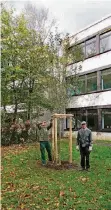  ?? FOTO: BMU ?? Der symbolträc­htige Korbinian-Apfelbaum steht schon und ist bereits vier Meter hoch.