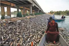  ?? AFP ?? Men sail past thousands of dead fish floating on the Euphrates river near the town of Sadat Al Hindiya on Friday.
