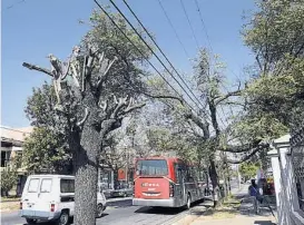  ??  ?? Poda salvaje a las tipas. En Gauss casi Joule, los árboles dañados son evidentes. Pero Epec asegura que actuó según lo indicado.