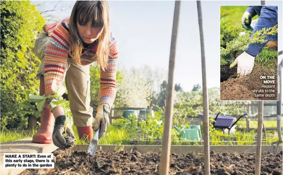  ??  ?? MAKE A START: Even at this early stage, there is plenty to do in the garden
ON THE MOVE Replant shrubs to the same depth