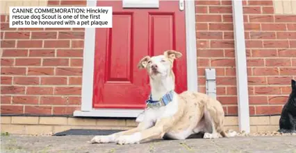  ??  ?? CANINE COMMEMORAT­ION: Hinckley rescue dog Scout is one of the first pets to be honoured with a pet plaque