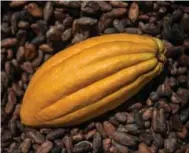  ?? YASUYOSHI CHIBA/AFP/GETTY IMAGES ?? Cocoa bean prices have soared partly due to bad weather in West Africa and growing global demand.