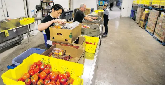  ?? DARREN STONE, TIMES COLONIST ?? Andy Liu, left, Norm Tandberg and Gerri Marcheluzz­o sort through produce at the Food Rescue Distributi­on Centre in Esquimalt last week.