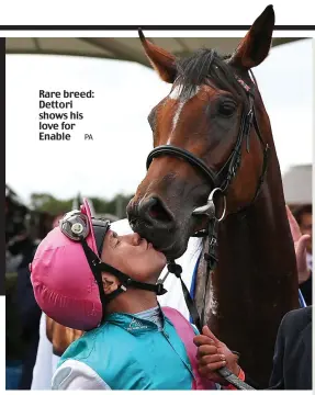  ?? PA ?? Rare breed: Dettori shows his love for Enable