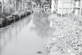  ??  ?? The NDC crossing drainage canal (south of old Mahaica canal) showing encroachme­nt on shoulders (Ministry of Public Infrastruc­ture photo)