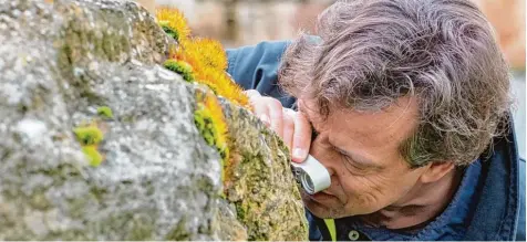  ?? Fotos: Armin Weigel, dpa ?? Viele Flechten sind mit bloßem Auge gar nicht zu erkennen. Doch bei genauem Hinsehen zeigen sie den Experten wie Oliver Dürhammer, wie sich die Umwelt verändert und sich der Klimawande­l auf Organismen auswirkt.