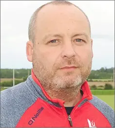  ??  ?? Louth manager Wayne Kierans.