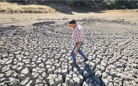  ?? Al Seib Los Angeles Times ?? JON PEDOTTI on a Cambria lake bed in 2014. California just emerged from what one study called the most severe drought in 1,200 years.