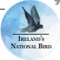  ??  ?? Ireland’s natIonal BIrd