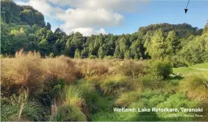  ?? CREDIT: Rachel Rose ?? Wetland: Lake Rotorkare, Taranaki