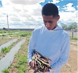  ??  ?? sE lEs instruye sobre la forma de sembrar, cultivar y cosechar