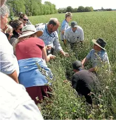  ?? JOHN McCRONE ?? A field trip for farmers organised in March 2020 as part of a Regenerati­ve Soil conference at Lincoln University.