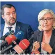  ?? FOTO: DPA ?? Matteo Salvini und Marine Le Pen wetterten gegen Europa.