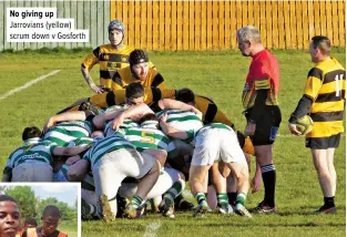  ?? ?? No giving up Jarrovians (yellow) scrum down v Gosforth