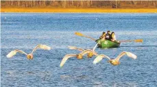  ?? FOTO: KLAUS WEISS ?? Wie viele Boote auf dem Federsee unterwegs sein dürfen, ist genau geregelt. Die Kommunen der Federseehe­rrschaft vergeben derzeit ihre Bootszulas­sungen.