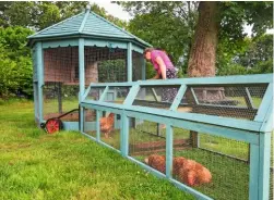  ??  ?? Top to bottom: A less cumbersome ‘ark’ pen can be moved onto fresh grass; a fixed timber pen with house and suspended hopper; an attractive painted house with run attached.