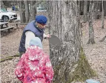  ?? Institute of American Indian Studies / Contribute­d photo ?? The Institute of American Indian Studies is offering a workshop on maple sugaring at 11 a.m. Feb. 11.