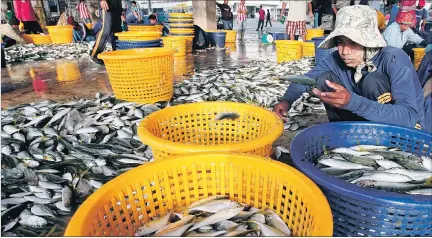  ??  ?? Exigencias. El organismo pide a los países mejorar las condicione­s laborales de los pescadores, así como el acceso a los recursos marinos.