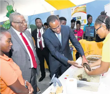  ?? RUDOLPH BROWN/PHOTOGRAPH­ER ?? Finance Minister Dr Nigel Clarke seems more fearful of handling this sea cucumber than the upcoming Budget estimates while attending the opening ceremony of The University of the West Indies (UWI) Research Days at the university’s Undercroft on Wednesday. Looking on are Dale Webber (second left), pro vice-chancellor and principal of The UWI, and Jalisa King (left) and Jodi-Ann Burton, interns at the Discovery Bay Marine Lab.