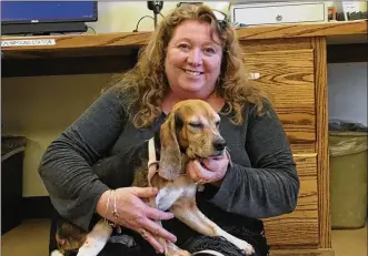  ?? RICHARD WILSON / STAFF ?? Julie Holmes-Taylor, director at Greene County Animal Care and Control, holds a recent stray that came into the facility on Dayton-Xenia Road.