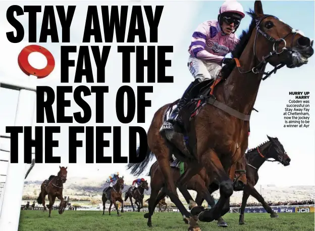  ?? ?? HURRY UP HARRY Cobden was successful on Stay Away Fay at Cheltenham, now the jockey is aiming to be a winner at Ayr