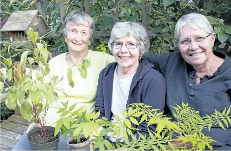  ?? PHOTOS BY THERESA FORTE/ SPECIAL TO POSTMEDIA NEWS ?? Master gardeners, from left, Barbara Large, June Stradwick and Karen Walsh are getting ready for their annual plant sale on Saturday at the Vineland Research and Innovation Centre.