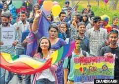  ?? KARUN SHARMA/HT ?? Chandigarg­h incorporat­es the dhol and gidda folk dance. In Nagpur, they wear masks because, they say, it’s still too hard for individual­s to come out of the closet.