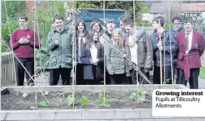  ??  ?? Growing interest Pupils at Tillicoult­ry Allotments