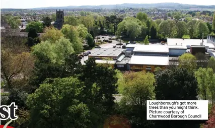  ?? ?? Loughborou­gh’s got more trees than you might think. Picture courtesy of Charnwood Borough Council