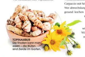  ??  ?? TOPINAMBUR Die Knollen kann man essen – die Blüten sind Zierde im Garten.