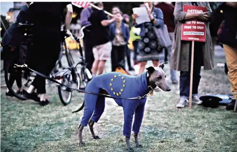  ?? FOTO: AP ?? Ein Whippet namens Seymour trägt eine Jacke mit der EU-Flagge während einer Demonstrat­ion von Brexit-Gegnern auf dem Parliament Square in London.