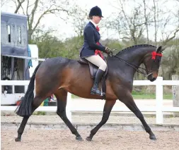  ??  ?? Mount Stephen Hidden Gem tops the hacks with Melissa
McCluskey in the saddle