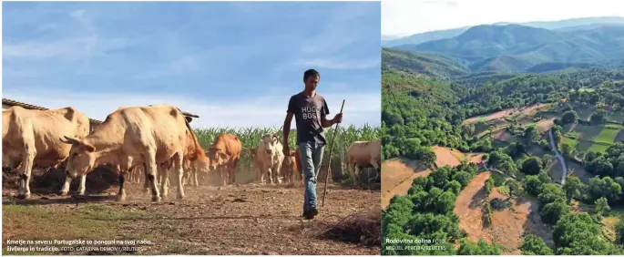  ?? FOTO: CATARINA DEMONY/REUTERS
FOTO:
MIGUEL PEREIRA/REUTERS ?? Kmetje na severu Portugalsk­e so ponosni na svoj način življenja in tradicijo.
Rodovitna dolina