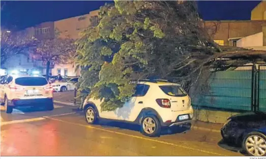  ?? SONIA RAMOS ?? Vehículo dañado por la caída de un árbol en el colegio Tierno Galván.