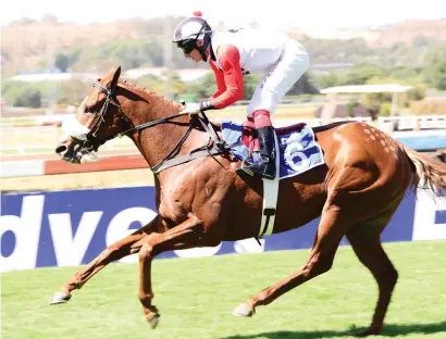  ??  ?? TOP FOUR POSITION: Brazuca, third in last Saturday's Premier's Champion Challenge, is one of three runners from the Johan Janse van Vuuren stable who is on the Vodacom Durban July log that was issued yesterday.