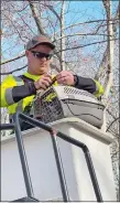  ?? CONTRIBUTE­D ?? In this screen capture from a video by East Lyme resident Debbie Green, Ian Preston of Preston Family Tree Removal in Ashford secures Tyler the Savannah cat in a carrier on Saturday after rescuing him from a treetop in East Lyme.