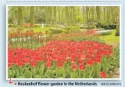 ?? WIKICOMMON­S ?? Keukenhof flower garden in the Netherland­s.