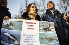  ?? FOTO: LEHTIKUVA/ALEXANDER NEMENOV ?? Dmitry Lisitsyn, ledaren för Sakhalin Environmen­tal Watch, och flera Greenpeace-aktivister i spetsen förde valarnas talan under en demonstrat­ion i Moskva den 16 februari.