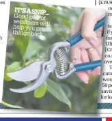  ??  ?? IT’S A SNIP... Good pair of secatuers will help you prune things back