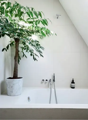  ??  ?? CREAM-COLOURED AND GREEN IN THE BATHROOM. The bathtub from Duravit is boxed in by Pico tiles from Ronan & Erwan Bouroullec for Mutina. The tap unit is from Vola, and the marble flower pot is from Mina Milanda. The skylight means that the plant grows at record speed. UNDERNEATH THE SLOPING WALL. Despite its minimalist design, the bathroom’s warm chalk-grey colour still creates a sensuous feeling. The barber’s mirror is from Illums Bolighus. ROUND THE EDGE. The bathtub displays everyday-luxury from Aesop and Chanel. ORIGINAL. The couple has retained the large concrete sink in the basement, which came with the house. The tap units have been designed to match the industrial style. The plants in the bowl love the artificial lighting and are a permanent feature. The mirror is made by a glazier.
