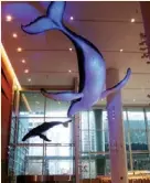  ??  ?? A sculpture of a whale and her calf adorns the entrance of the new Lurie Children’s Hospital in Chicago.